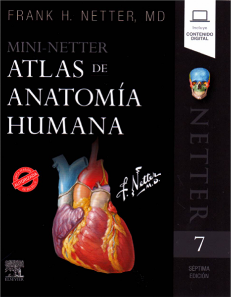 Mini Netter. Atlas de anatomía humana