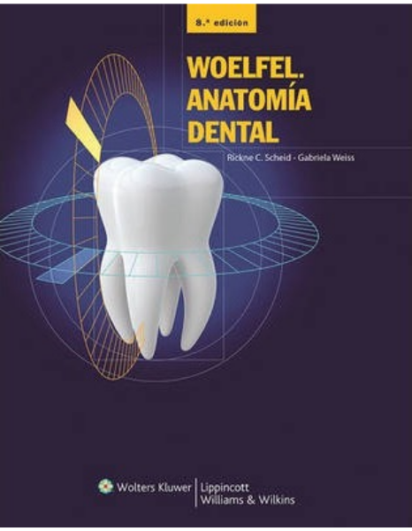 Anatomía Dental, Woelfel 