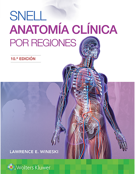 Snell. Anatomía clínica por regiones