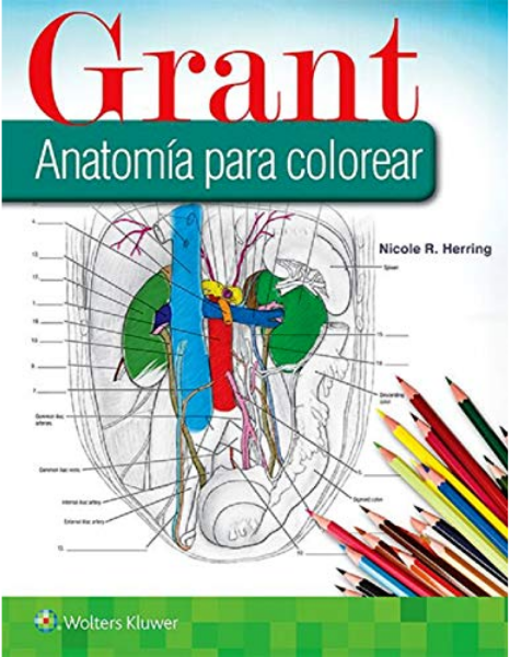 Grant Anatomía para colorear