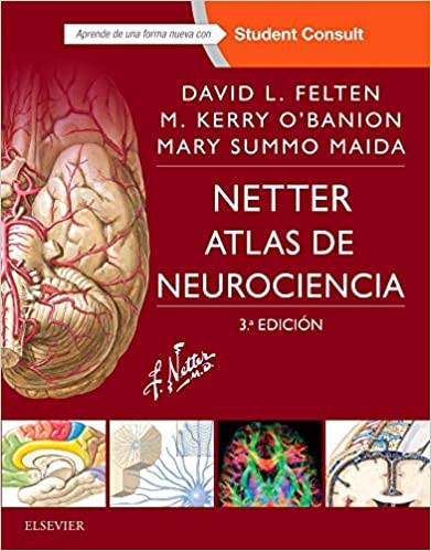 Netter. Atlas de neurociencia.