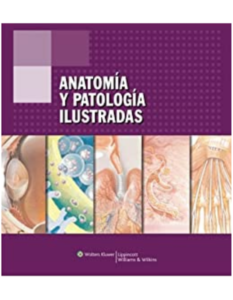 Anatomía y Patología Ilustradas