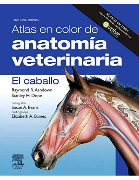 Atlas en color de anatomía veterinaria : el caballo