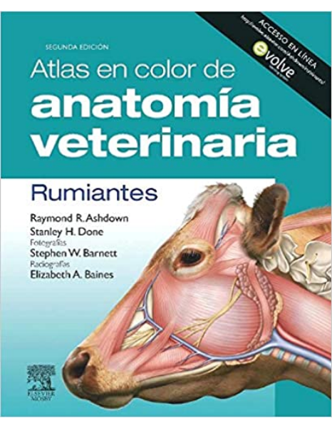 Atlas en color de anatomía veterinaria : Rumiantes