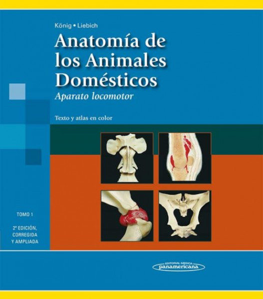 Anatomía De Los Animales domésticos (Tomo 1): El Aparato Locomotor 