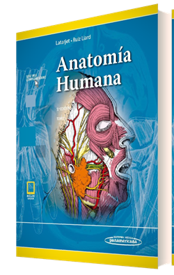 Anatomía Humana Tomo 1 Ed 5