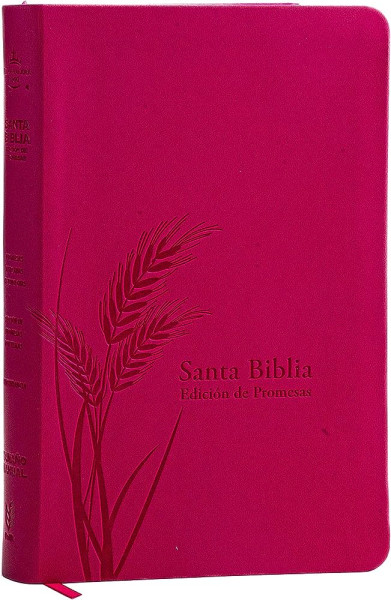 Santa Biblia de Promesas RVR-1960, Tamaño Manual / Letra grande